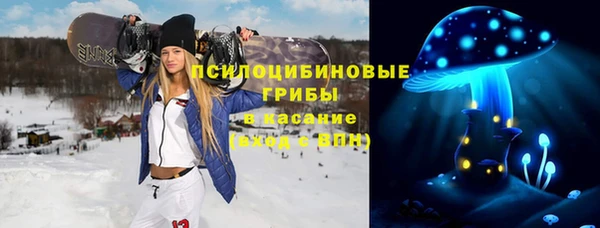 ГАЛЛЮЦИНОГЕННЫЕ ГРИБЫ Арсеньев
