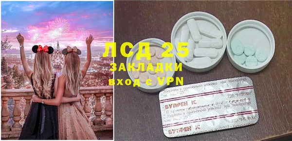 ГАЛЛЮЦИНОГЕННЫЕ ГРИБЫ Арсеньев