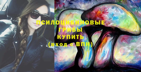 ECSTASY Армянск