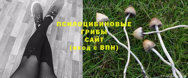 не бодяженный Аркадак