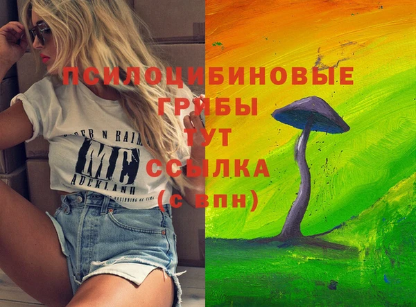 ECSTASY Армянск