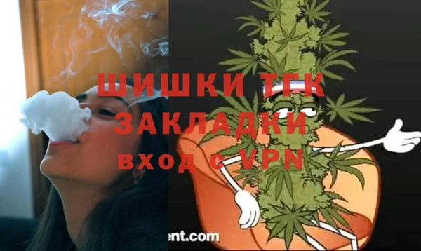 ГАЛЛЮЦИНОГЕННЫЕ ГРИБЫ Арсеньев