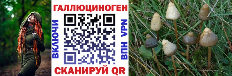 Галлюциногенные грибы MAGIC MUSHROOMS  Ростов 